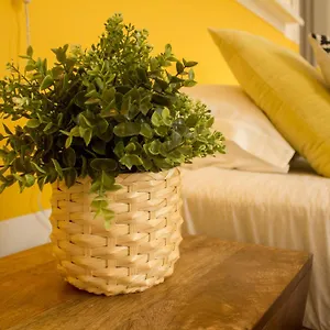 3* Couette-café Intendente 1865